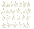 Load image into Gallery viewer, Cursive jumbo CZ initial necklace